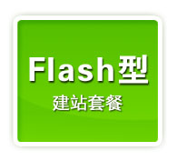 全站Flash型