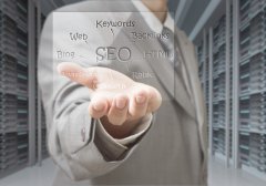 SEO優(yōu)化的類別與竅門有哪些？