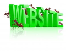 對(duì)于企業(yè)網(wǎng)站的空間應(yīng)該怎樣選擇?