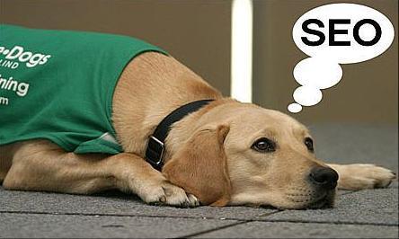 淺談百度搜索引擎不收錄網(wǎng)站的原因