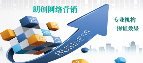 朗創(chuàng)網絡營銷 實力見證卓越