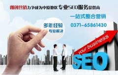 平頂山網站優(yōu)化公司