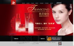 美容化妝品行業(yè)網(wǎng)站建設(shè)案例