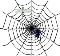 網(wǎng)站內(nèi)部鏈接不可忽視的幾個(gè)優(yōu)化細(xì)節(jié)