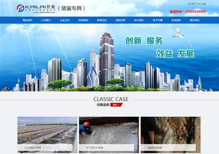 網(wǎng)站建設(shè)案例