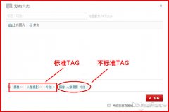 Tag標(biāo)簽的作用以及使用時(shí)注意事項(xiàng)