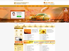 貴金屬投資優(yōu)化型網(wǎng)站建設(shè)案例