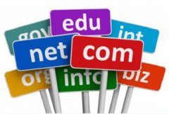 企業(yè)做網(wǎng)站選擇域名有考究