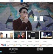 準(zhǔn)兒翻譯機(jī)網(wǎng)站建設(shè)案例