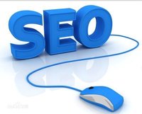 河南seo優(yōu)化